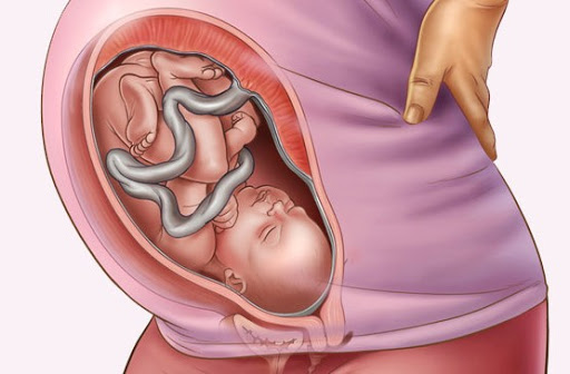 Sự phát triển của thai nhi ở giai đoạn 26-28 tuần